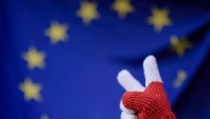 Miniatura: Decyzja powinna należeć do państw czy UE?...