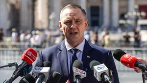 Miniatura: Fale i skały