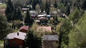 Miniatura: Mało znany zakaz dla posiadaczy działek....