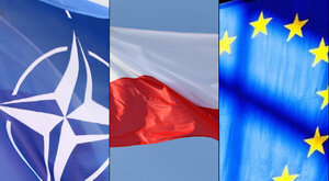 Miniatura: Polska w nowym świecie