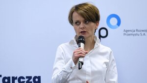 Miniatura: Była wicepremier gorzko: Twarde lądowanie....