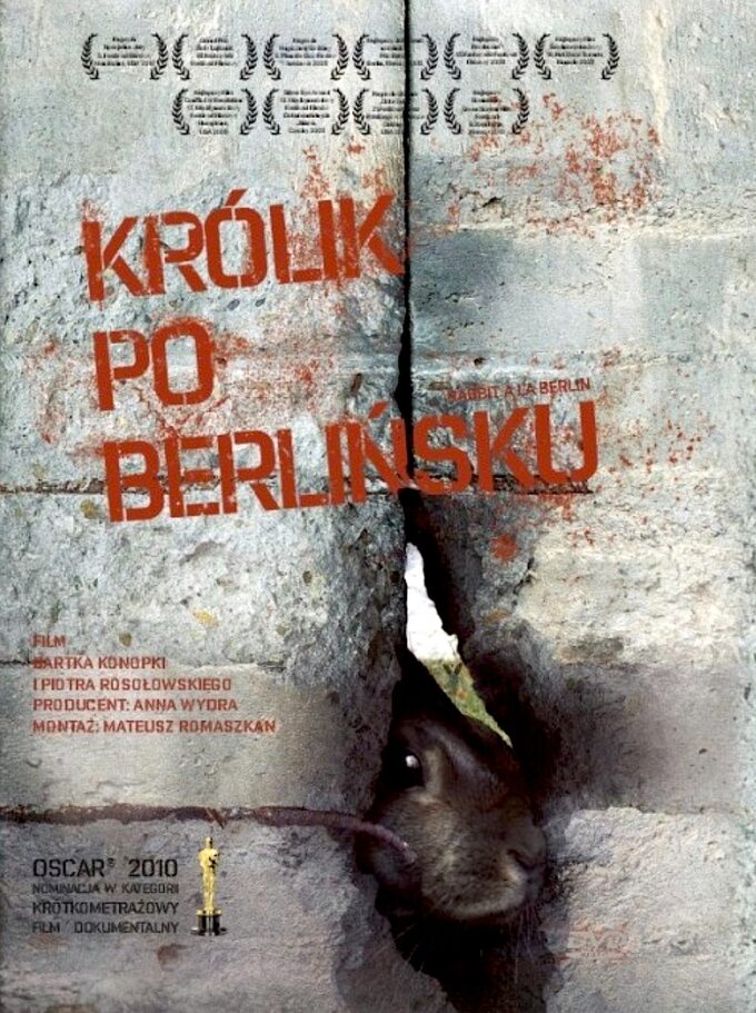 "Królik po berlińsku" - plakat