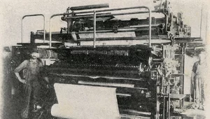 Miniatura: Platan Mariana Dąbrowskiego