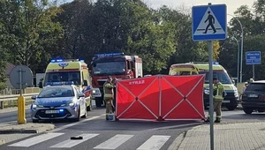 Miniatura: "Płakali nawet ratownicy i policjanci"....