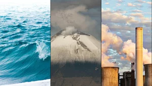 Miniatura: Prof. Marks: Jesteśmy w zupełnie normalnym...