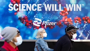 Miniatura: Pfizer: Nasz lek skuteczny także na...