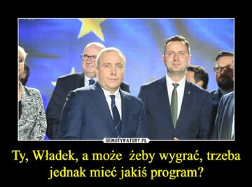 Memy po wyborach do Parlamentu Europejskiego 
