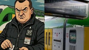 Miniatura: Przemoc w ramach prawa