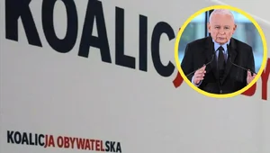 Miniatura: Politycy KO przerażeni słowami...
