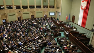 Miniatura: Sejm o lepszej ochronie dzieci i...