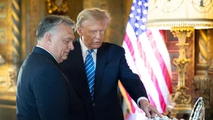 Miniatura: Orban rozmawiał z Trumpem. "Mamy wielkie...