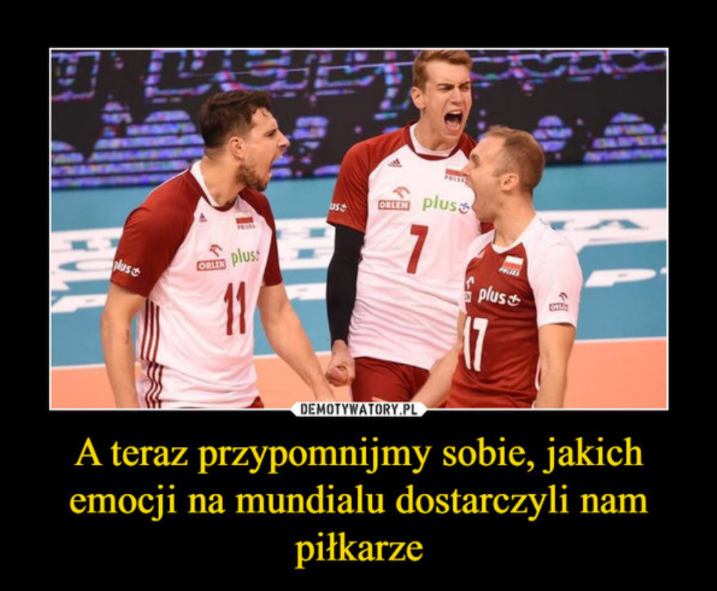 Polacy Mistrzami Świata - memy 
