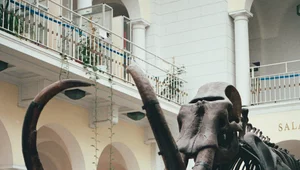 Miniatura: Ukraina: to znalezisko zmienia naszą...