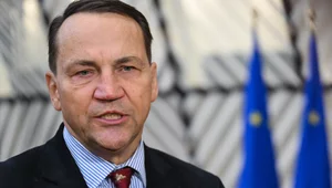 Miniatura: W obozie Tuska narasta nerwowość. Sikorski...