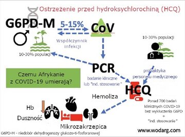 Wykres nr 2