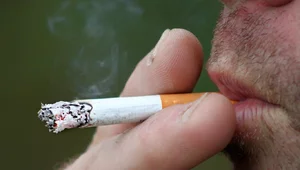 Miniatura: Darmowa tomografia płuc od października....