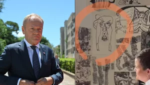 Miniatura: Po co premierowi akcja Cienkowskiej?...