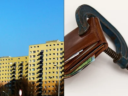 Miniatura: Bosak: Śmiali się, kiedy mówiliśmy o tym w...