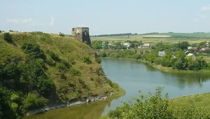 Miniatura: Żwaniecka ugoda ostatniej szansy