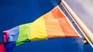 Miniatura: Szatan LGBT