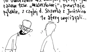 Miniatura: Skąd oni wyciągnęli te "afery"?