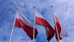 Miniatura: Alarm dla rządzących. Polacy domagają się...