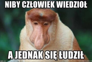 Memy po wyborach do Parlamentu Europejskiego 