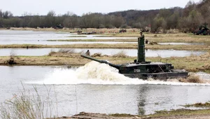 Miniatura: Co dalej z Borsukami? "W najbliższej...