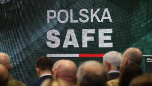 Miniatura: Is it safe?