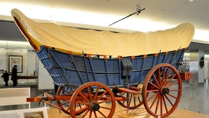 Miniatura: Amfibie na dnie