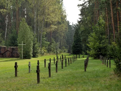 Miniatura: Powrót fałszerzy historii