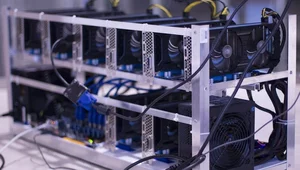 Miniatura: W tej dziedzinie Rosja zajmuje drugie...