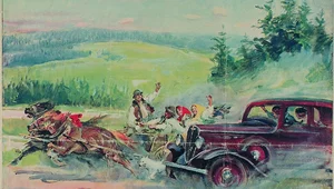 Miniatura: Automobilowe szaleństwo