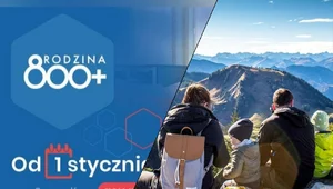 Miniatura: Padła propozycja ograniczenia 800 plus....