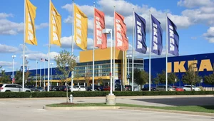 Miniatura: Polak stanie na czele światowego giganta....