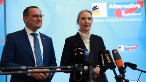 Miniatura: Alternatywa dla Niemiec oficjalnie uznana...