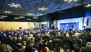 Miniatura: Braun na KINGS: Konfederacja Korony...