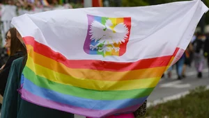 Miniatura: Rząd Tuska chce uznawać homoadopcję i...