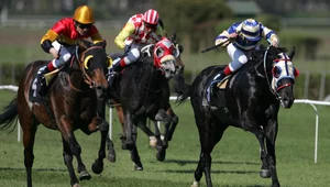 Miniatura: Bomba w górę!