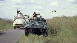 Miniatura: Pamięć białego człowieka