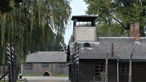 Miniatura: "Antysemicka teoria spiskowa". Muzeum...