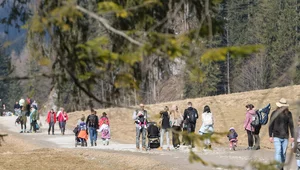 Miniatura: Arabska rodzina uciekała przed patrolem...