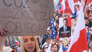 Miniatura: Schreiber: Pobito mnie na marszu...