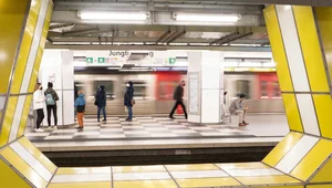 Miniatura: Środek Europy. Sudańczyk wepchnął 18-latkę...