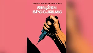 Miniatura: Grzech założycielski