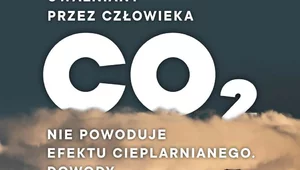 Miniatura: Uwalniany przez człowieka CO2 nie powoduje...