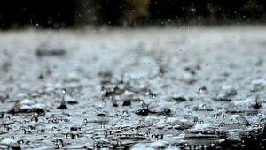 "Patriotyczna ławka" za 100 tys. zł nie przetrwała pierwszego deszczu