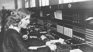 Miniatura: Zawody dinozaury