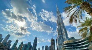 Miniatura: Niedźwiedź na giełdzie. Co się dzieje w...