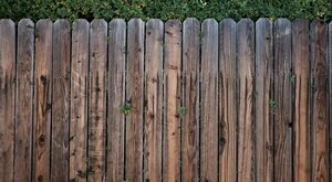 Miniatura: Wedle płota